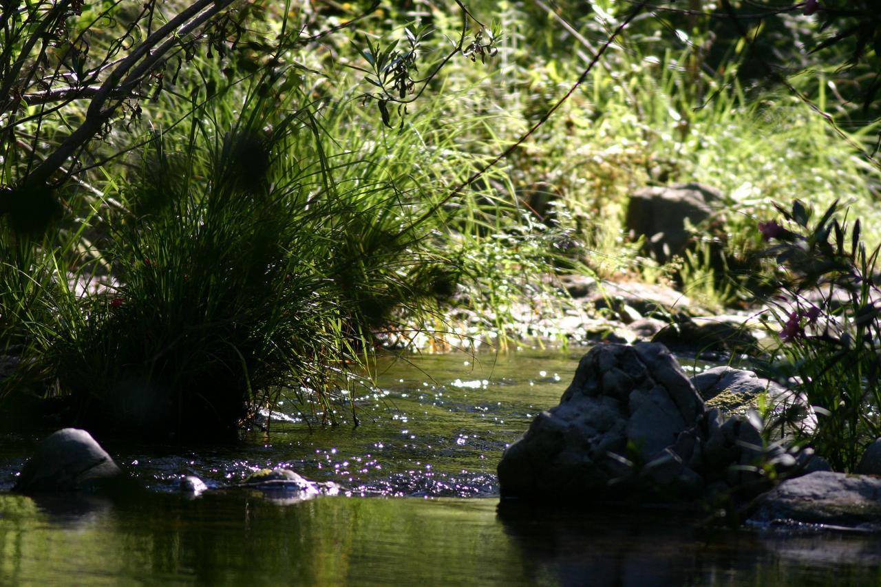 Camping La Brena Hotel Almodóvar del Río Buitenkant foto